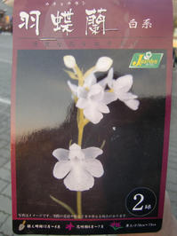 100219_kyukon_ucyoran1.JPG