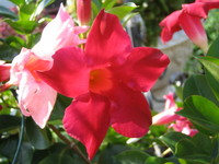 IMG_4884.JPG
