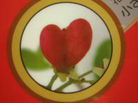 100915_hatibana_heart5.JPG