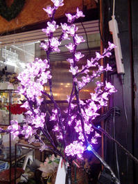 101112_zakka_right1.JPG