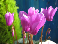 IMG_5721.JPG