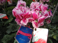IMG_5760.JPG