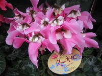 IMG_5762.JPG
