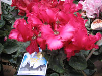 IMG_5768.JPG