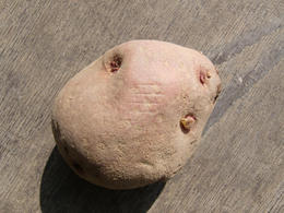 CIMG3358.JPG