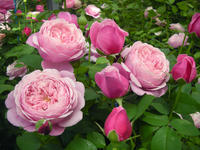 110420_misato_resize.jpg