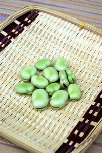soramame3.JPG