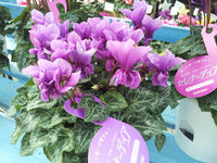20111123124408.jpg