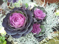 20111201150139.jpg