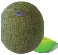 higogreenmeron.jpg