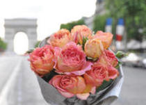 2012春 【Delbard Rose デルバールローズ】