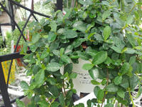 20120626114338.jpg