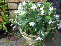20120626134730.jpg