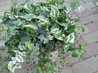 20120626164313.jpg