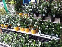 20120711083431.jpg