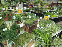 20120711090701.jpg