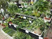20120711090739.jpg