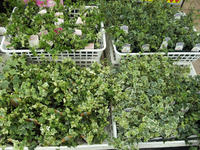 20120711090834.jpg