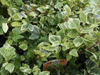 20120711090846.jpg