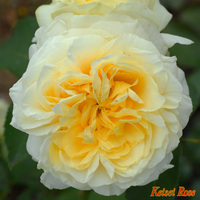 kaikyo1018-1l.jpg