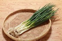 万能ネギ「やぐら葱」入荷!!
