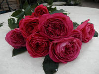 yuzen20121014.JPG