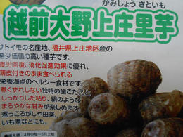 20130313ー里芋1.JPG