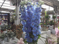 20130326deruhu1.JPG