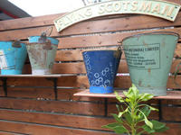 20130814zakka1.JPG