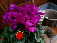 20141203_144203.jpg