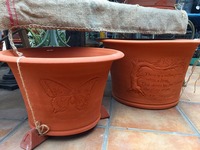 20150217181525.jpg