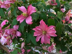 20150325184500.jpg