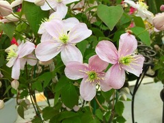 20150325184710.jpg