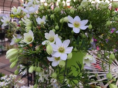 20150325184920.jpg