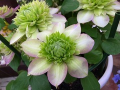 20150325185030.jpg