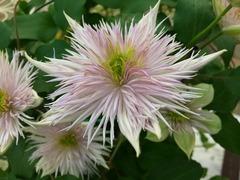 20150325185240.jpg