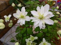 20150325185550.jpg