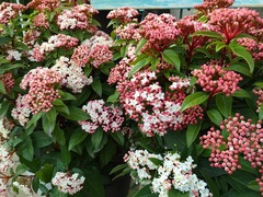 20150331172500.jpg