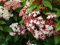 20150331173010.jpg