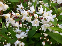 20150331173530.jpg