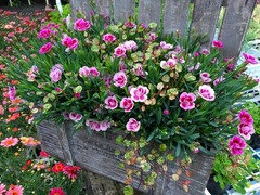 20150415191120.jpg