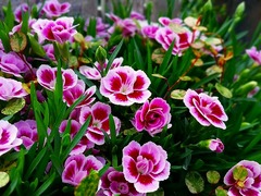 20150415192030.jpg