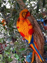 20150423202520.jpg
