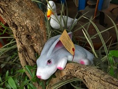 20150423202730.jpg