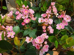 20150427190000.jpg