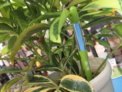 20150802181106.jpg
