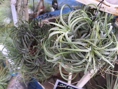 20150822181203.jpg