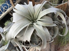 20150822181505.jpg