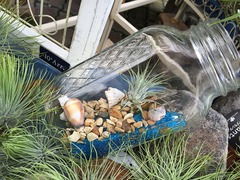 20150822181708.jpg