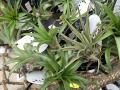 20150822182010.jpg